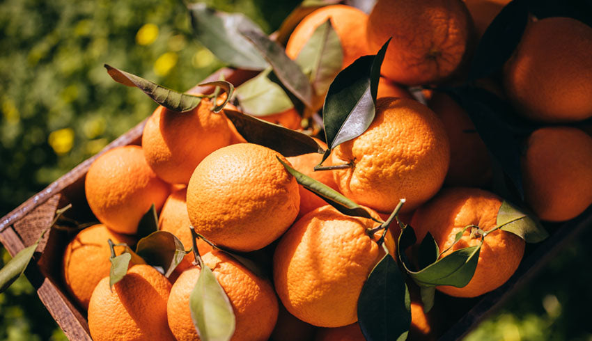 Vitamin C: What Does It Do For Your Skin?